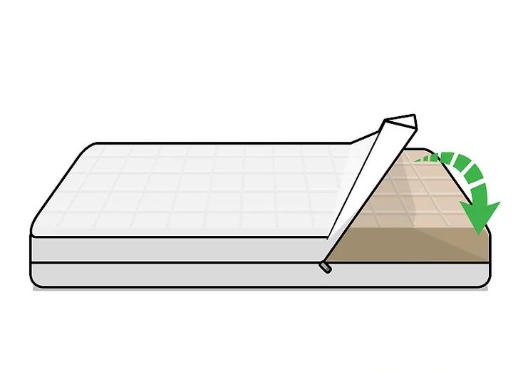 لکه های تختخواب