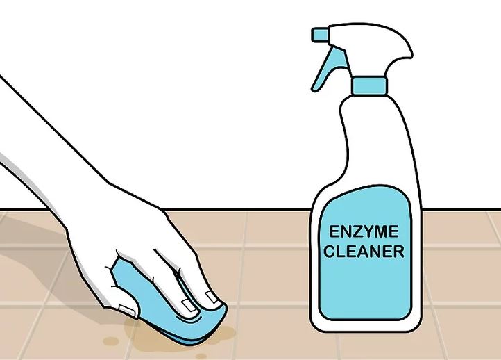 تمیز کردن سرویس خواب